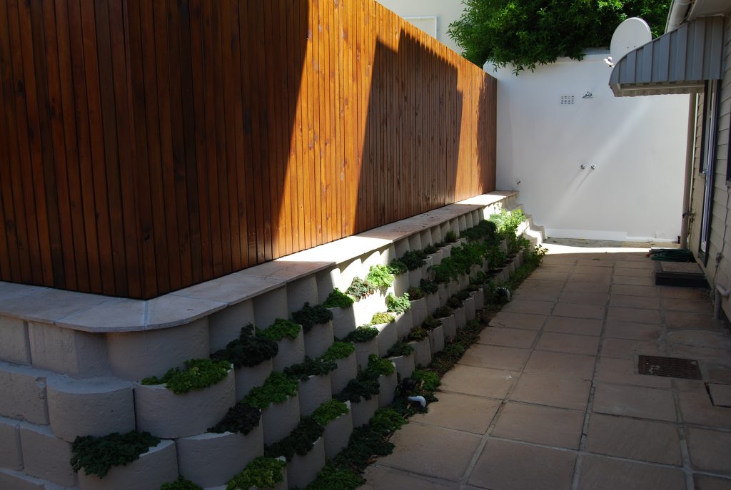 14. Herb garden at the back of the cottage and outside shower